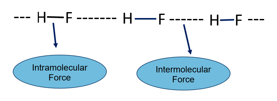 Intermolecular and intramolecular forces 